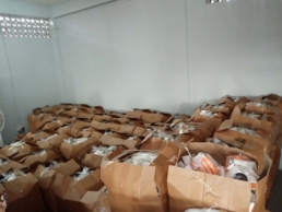 Bags Packed in boxes for loading on Trucks for distribution-2